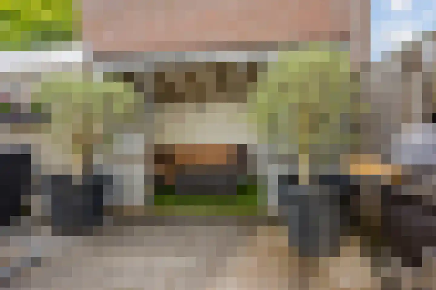 Kamilleveld 15 Nieuwerkerk aan den IJssel thumbnail 42