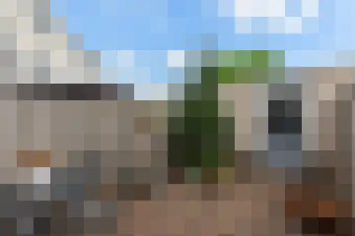 Kamilleveld 29 Schiedam thumbnail 14