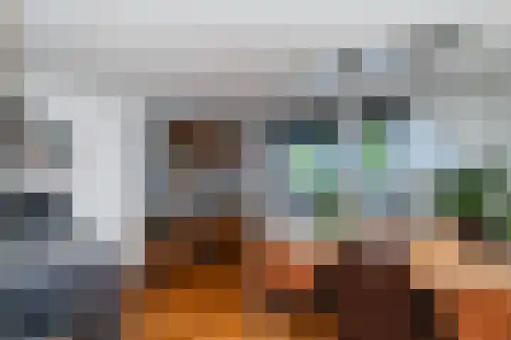 Kamilleveld 29 Schiedam thumbnail 21