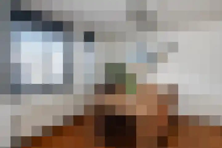 Kamilleveld 29 Schiedam thumbnail 22