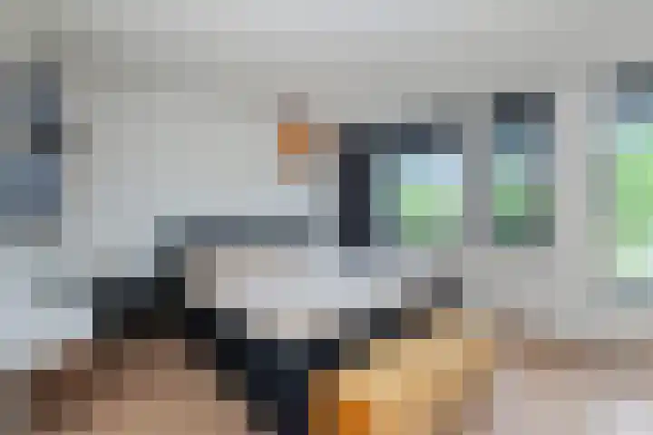 Kamilleveld 29 Schiedam thumbnail 27
