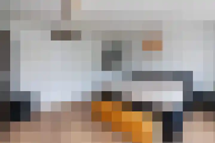 Kamilleveld 29 Schiedam thumbnail 29