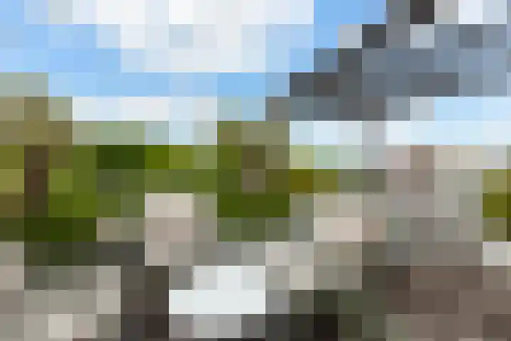 Kamilleveld 29 Schiedam thumbnail 35