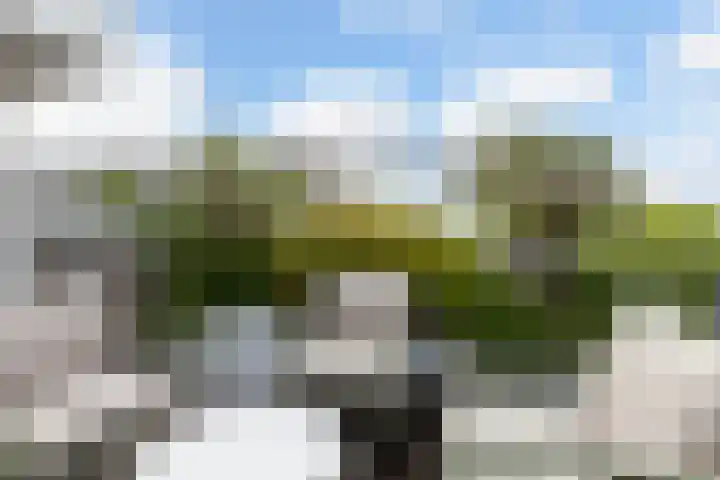 Kamilleveld 29 Schiedam thumbnail 36