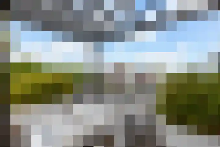 Kamilleveld 29 Schiedam thumbnail 37