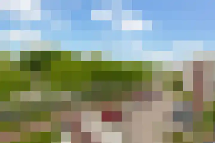 Kamilleveld 29 Schiedam thumbnail 38