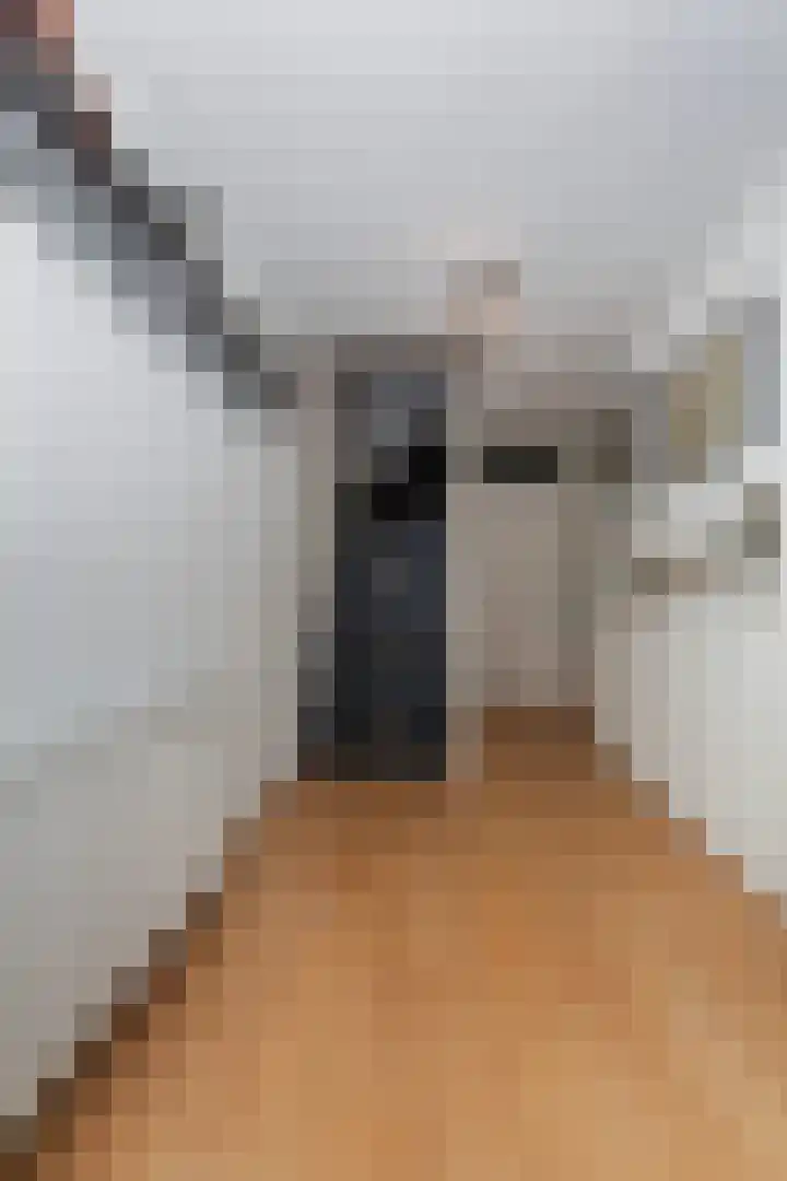 Kamilleveld 29 Schiedam thumbnail 6