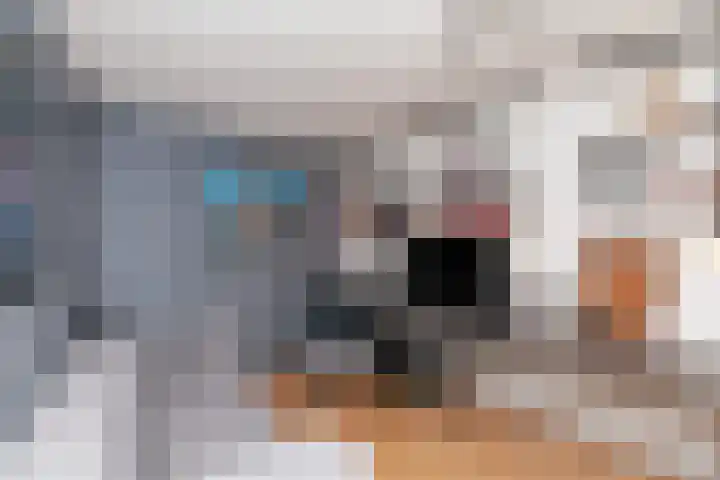 Kamilleveld 29 Schiedam thumbnail 7