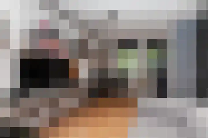 Kamilleveld 29 Schiedam thumbnail 9