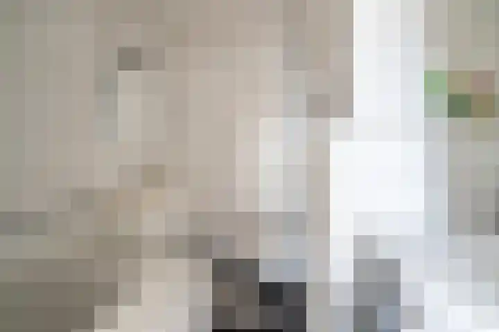 Kamilleveld 3 Schiedam thumbnail 20