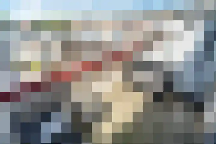 Kamilleveld 3 Schiedam thumbnail 25