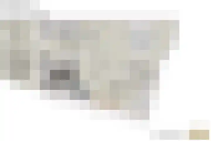 Kamilleveld 3 Schiedam thumbnail 37