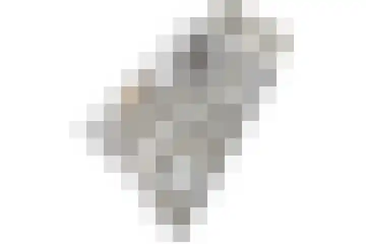 Kamilleveld 3 Schiedam thumbnail 38
