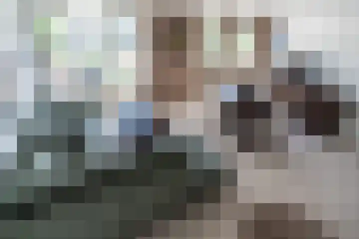 Kamilleveld 3 Schiedam thumbnail 42
