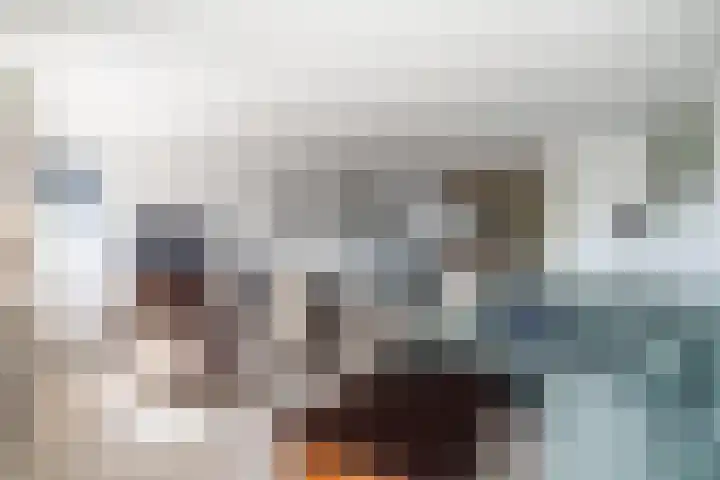 Kamilleveld 3 Schiedam thumbnail 6