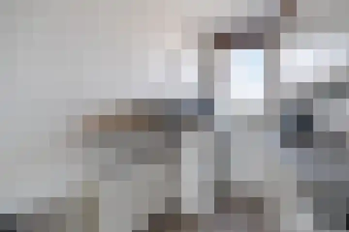 Kamilleveld 3 Schiedam thumbnail 9