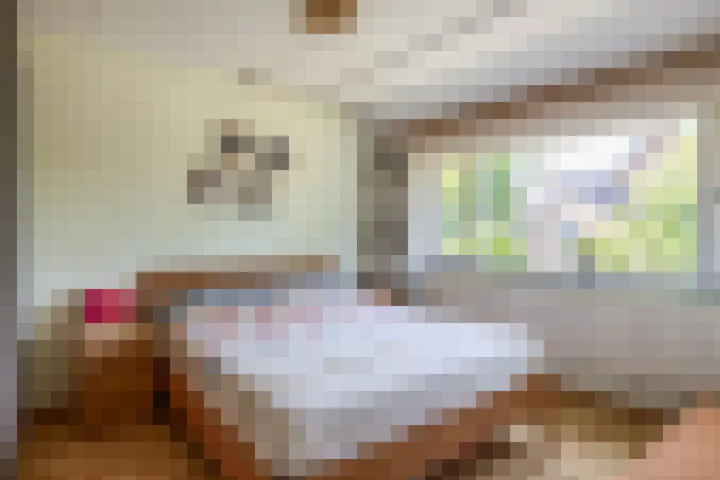 Kamilleveld 3 Waddinxveen thumbnail 16