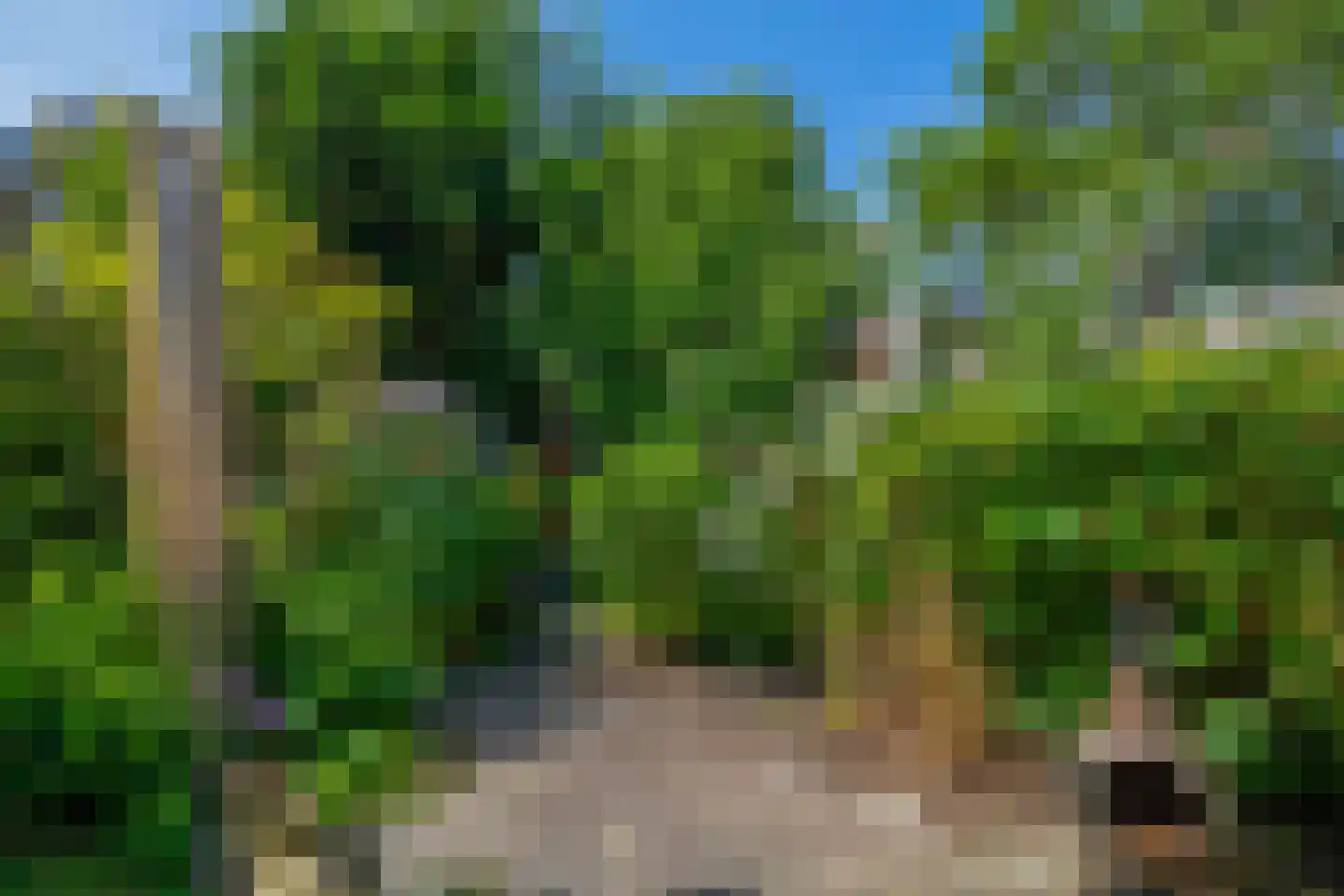 Kamilleveld 3 Waddinxveen thumbnail 23