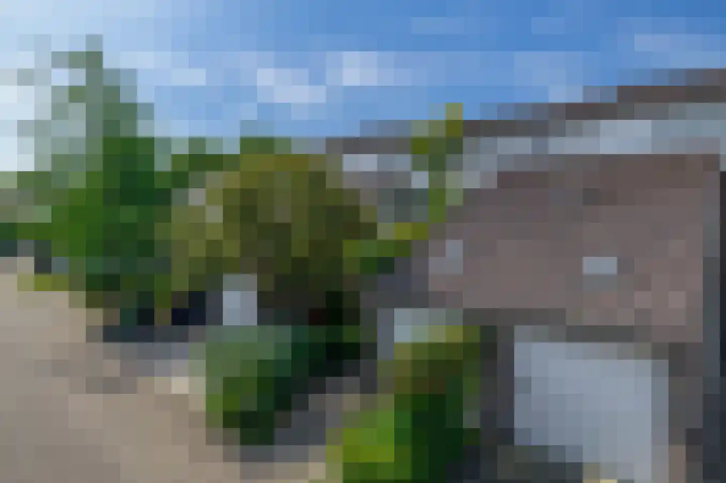 Kamilleveld 3 Waddinxveen thumbnail 27