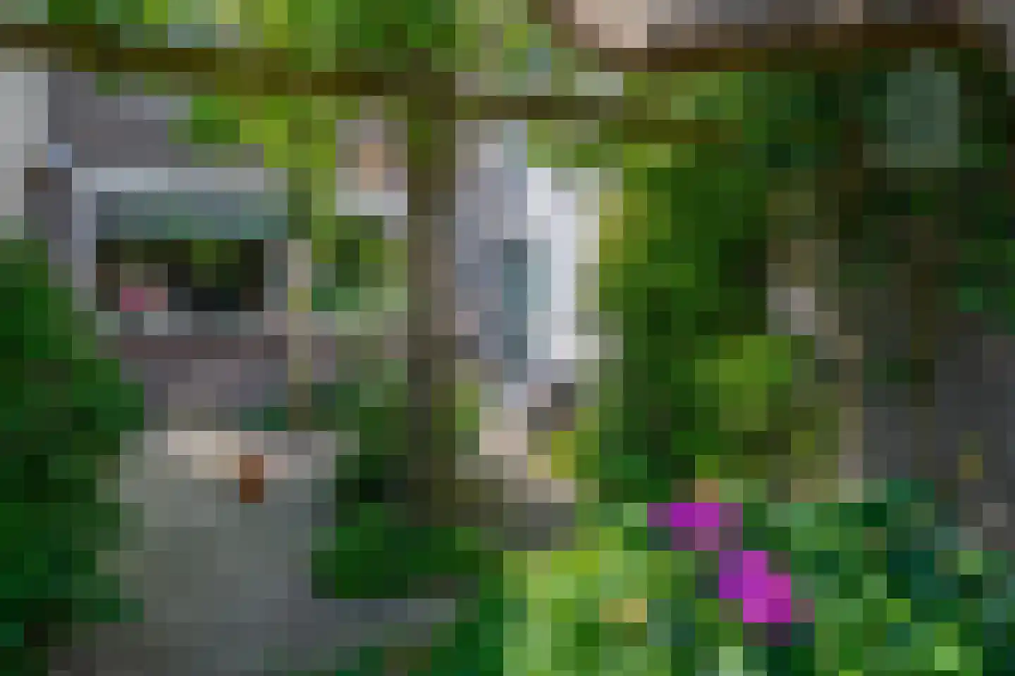 Kamilleveld 3 Waddinxveen thumbnail 4