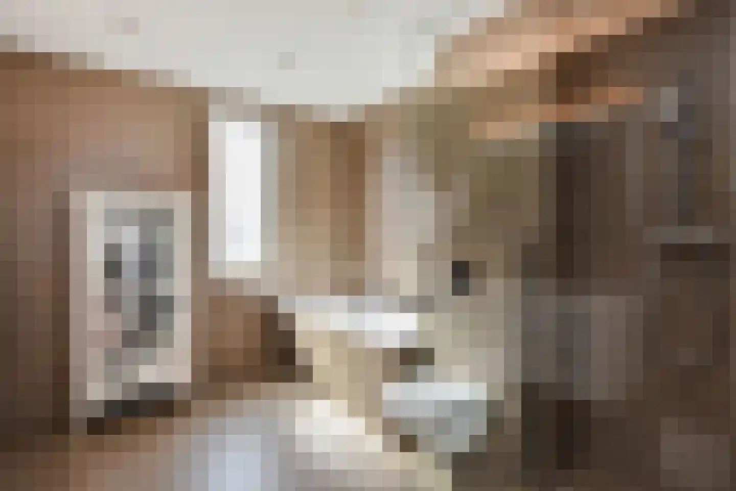 Kamilleveld 52 Den Haag thumbnail 33