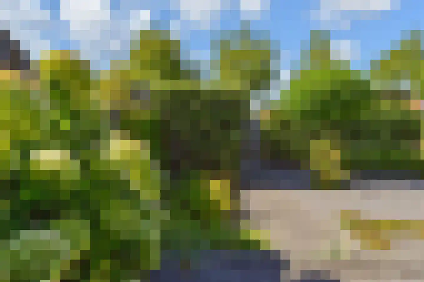 Kamilleveld 52 Den Haag thumbnail 54