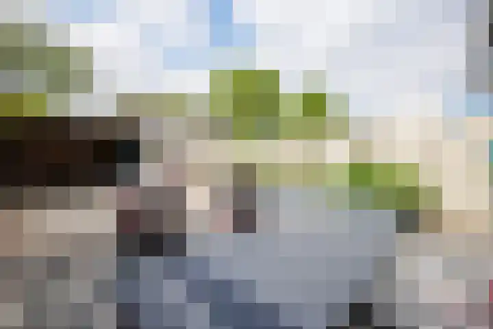 Kamilleveld 55 Doetinchem thumbnail 11