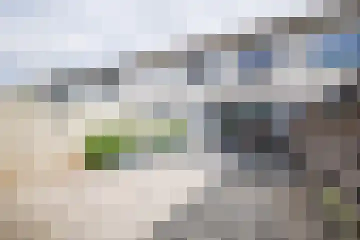 Kamilleveld 55 Doetinchem thumbnail 12