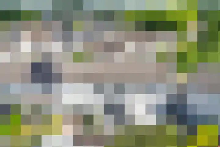Kamilleveld 55 Doetinchem thumbnail 35