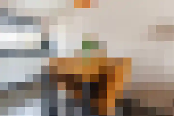 Kamilleveld 55 Doetinchem thumbnail 6