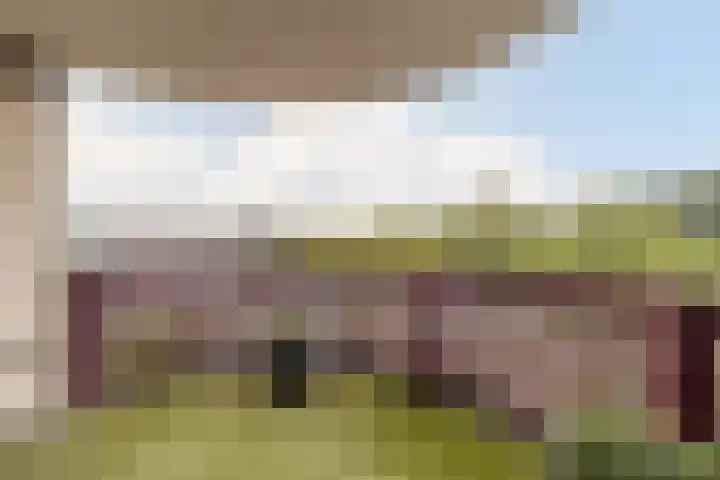 Kamilleveld 57 Schiedam thumbnail 12
