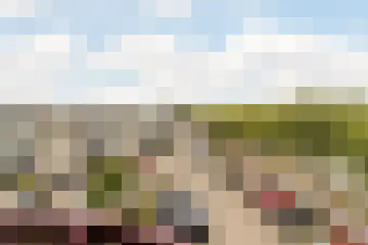 Kamilleveld 57 Schiedam thumbnail 13