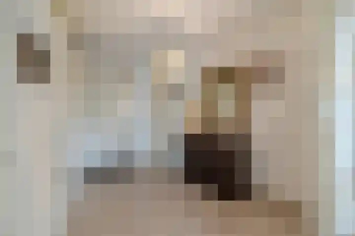 Kamilleveld 57 Schiedam thumbnail 19