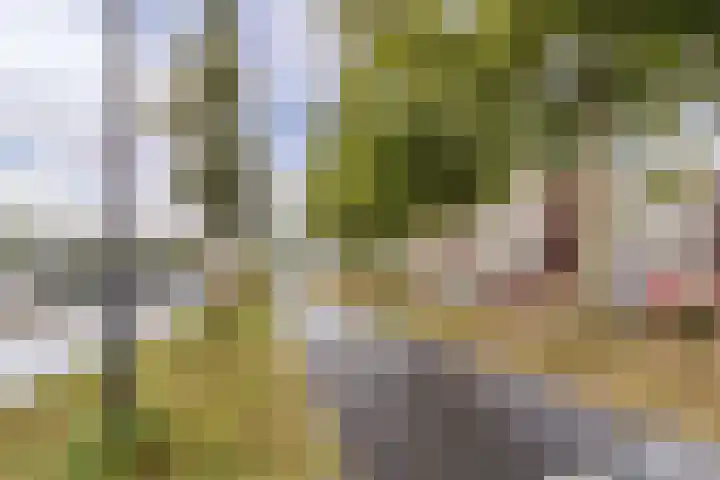 Kamilleveld 57 Schiedam thumbnail 27