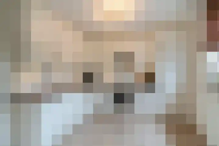 Kamilleveld 57 Schiedam thumbnail 8