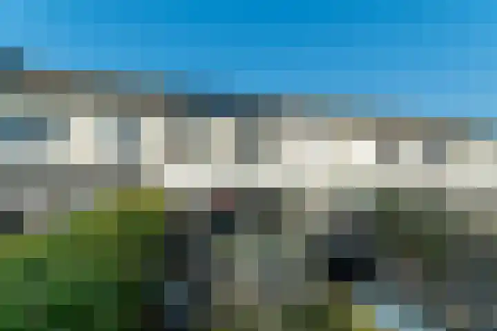 Kamilleveld 59 Doetinchem thumbnail 36