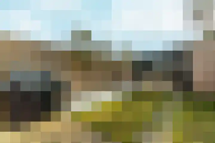 Kamilleveld 59 Doetinchem thumbnail 37