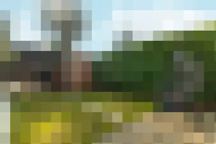 Kamilleveld 59 Doetinchem thumbnail 38