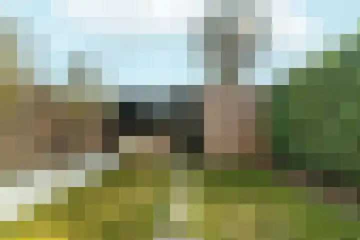 Kamilleveld 59 Doetinchem thumbnail 39