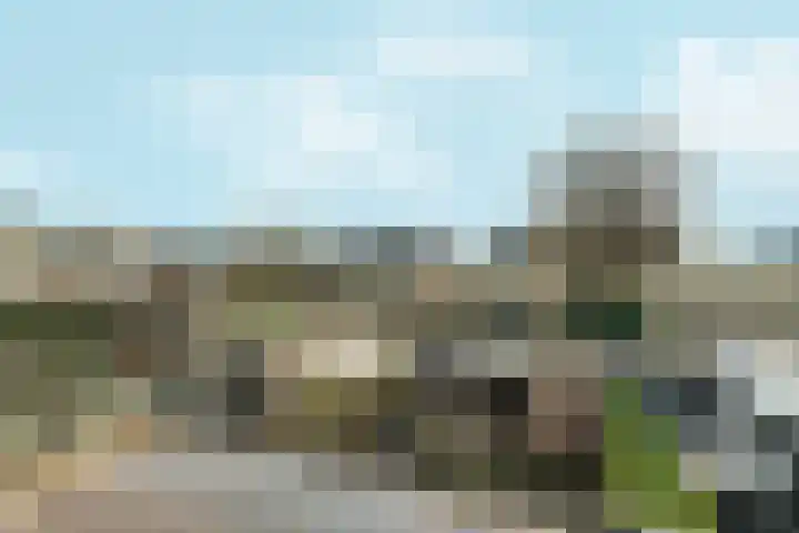 Kamilleveld 59 Doetinchem thumbnail 44