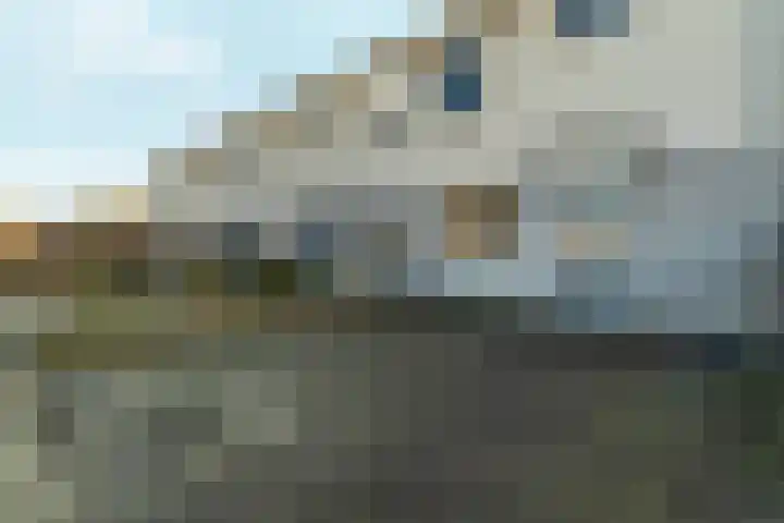 Kamilleveld 59 Doetinchem thumbnail 48