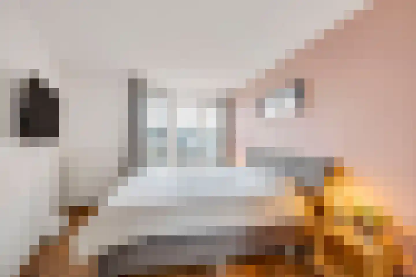 Kamilleveld 6 Schiedam thumbnail 20