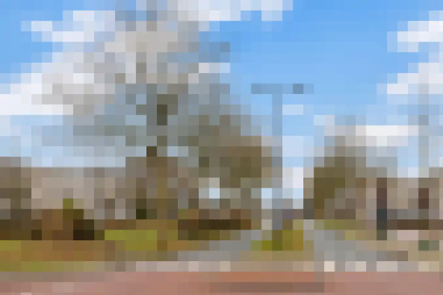 Kamilleveld 6 Schiedam thumbnail 33