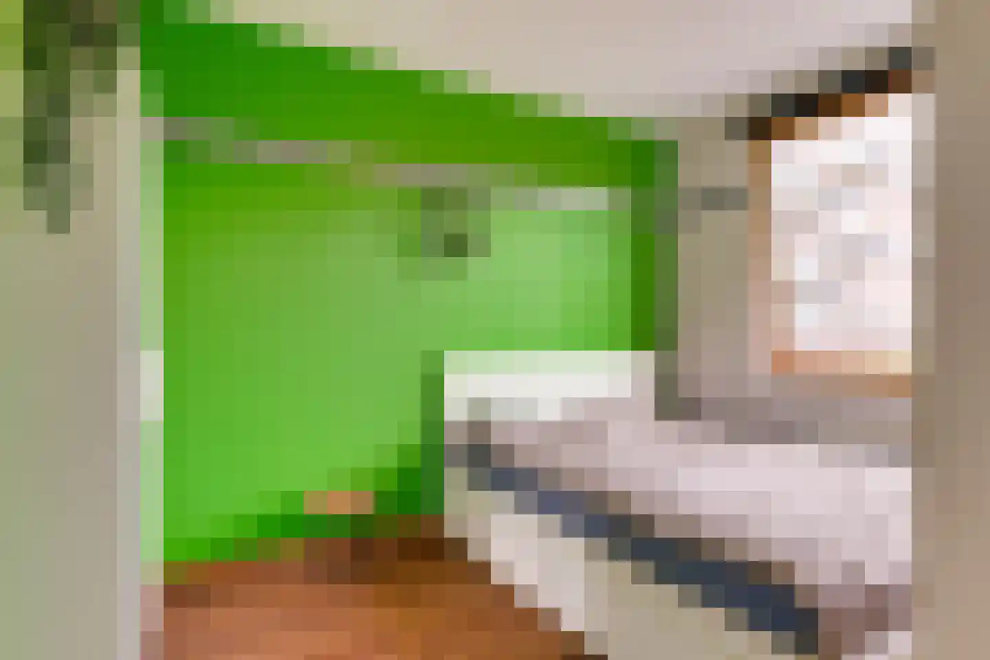 Kamilleveld 84 Den Haag thumbnail 15