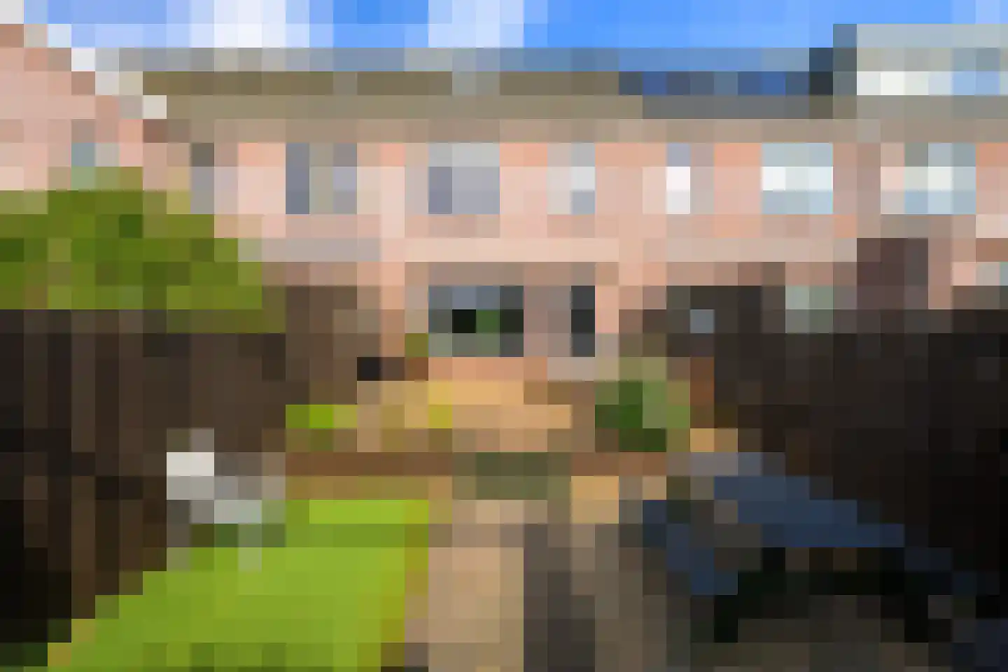 Kamilleveld 84 Den Haag thumbnail 22