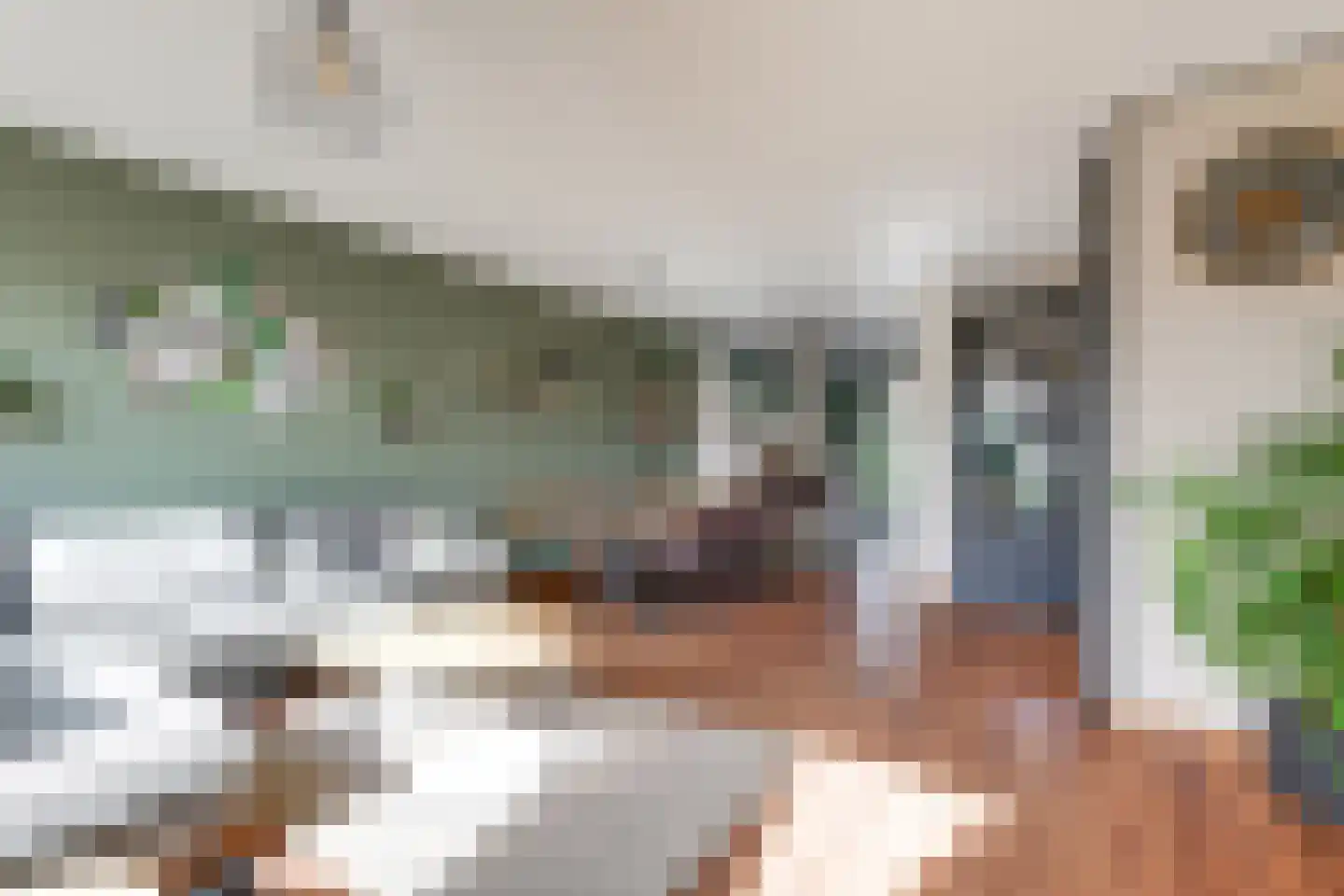 Kamilleveld 84 Den Haag thumbnail 8