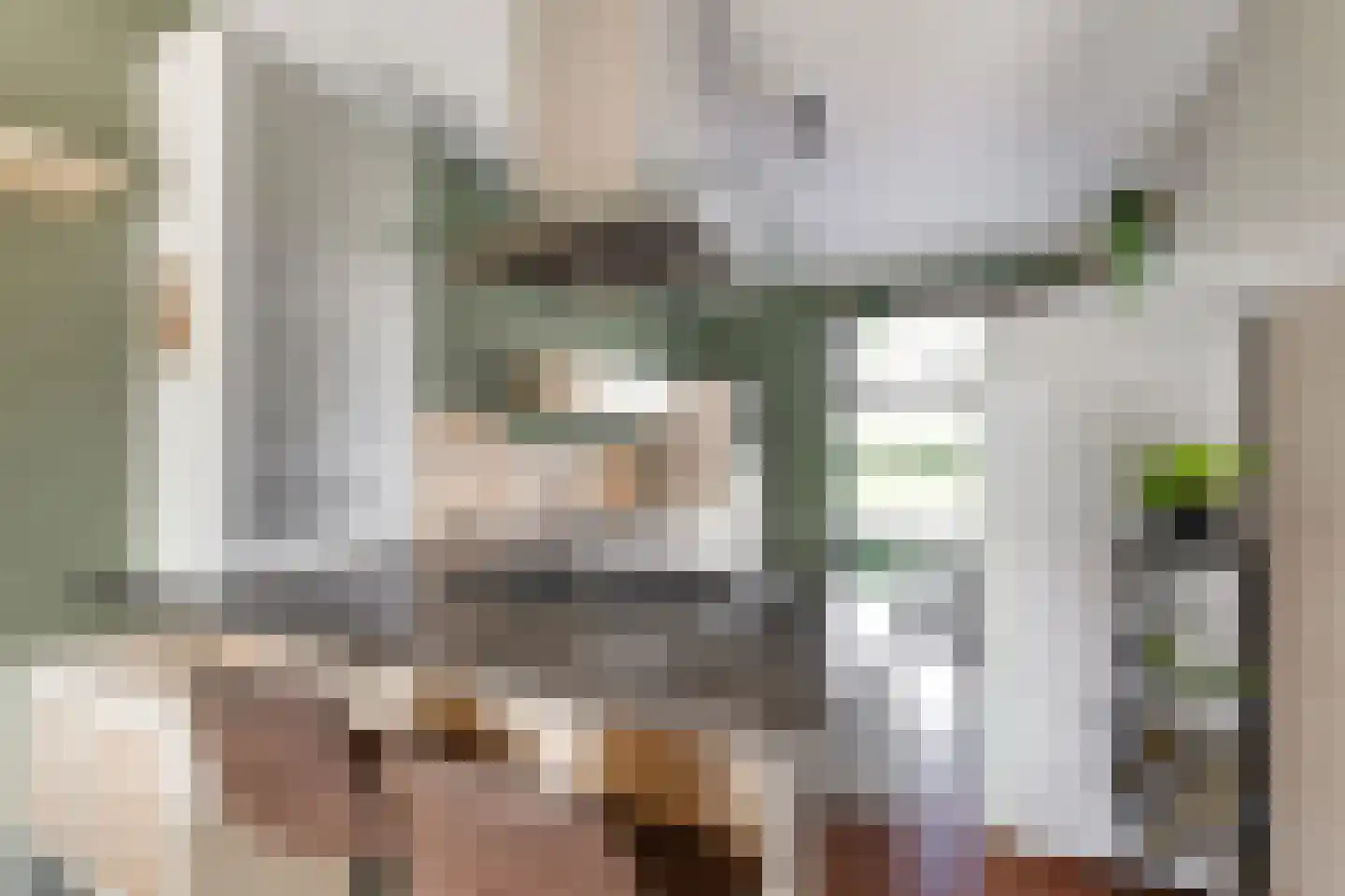 Kamilleveld 84 Den Haag thumbnail 9