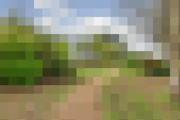 Kamilleveld 9 Schiedam thumbnail 31