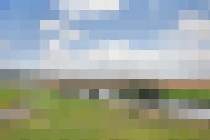 Kamilleveld 9 Schiedam thumbnail 32