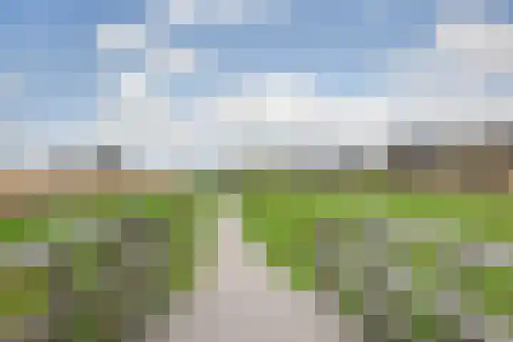 Kamilleveld 9 Schiedam thumbnail 33